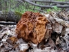 dscf4351a