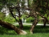 DSCF1229a