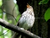 DSCF1869z