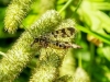 DSCF8976il