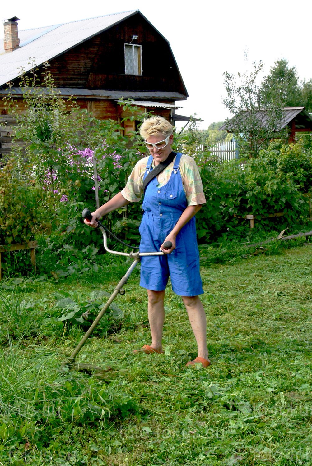 В деревне Гуща