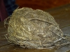 DSC02468p
