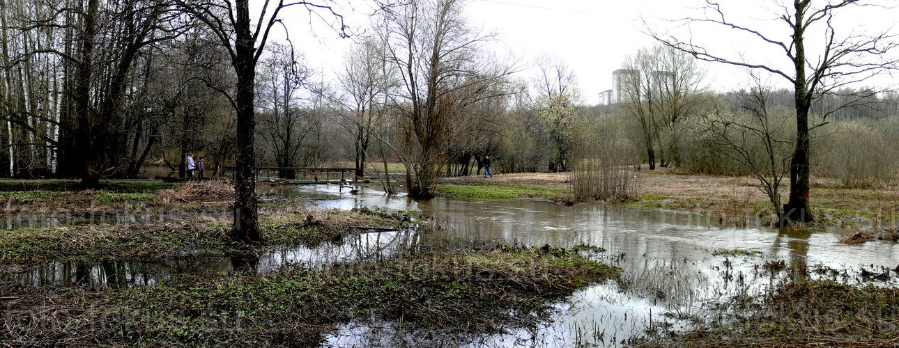 Измайловский парк