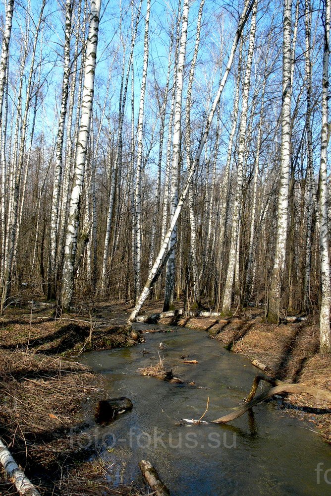 Измайловский парк