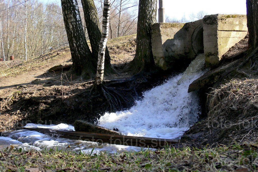 Измайловский парк