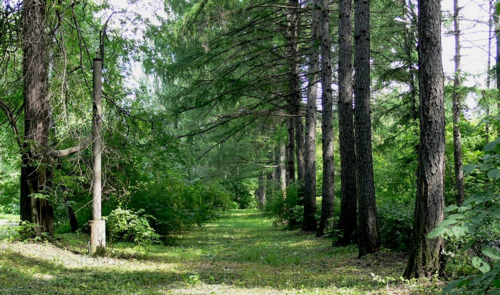 Измайловский парк. Детский городок.