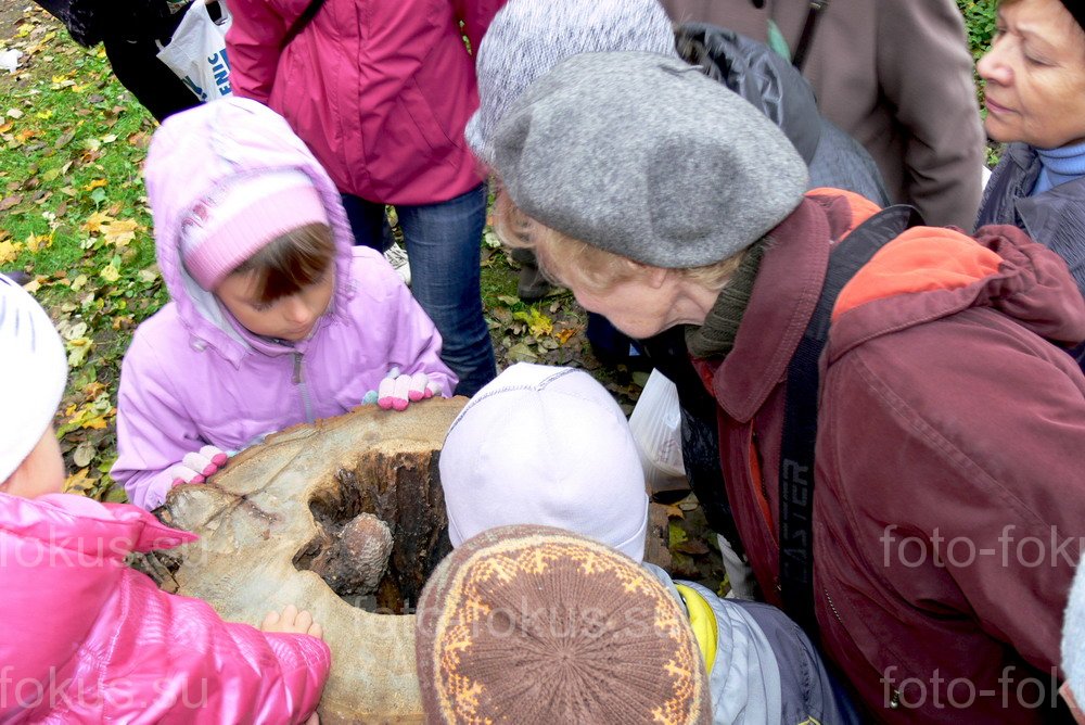 ЭПЦ  Царская пасека