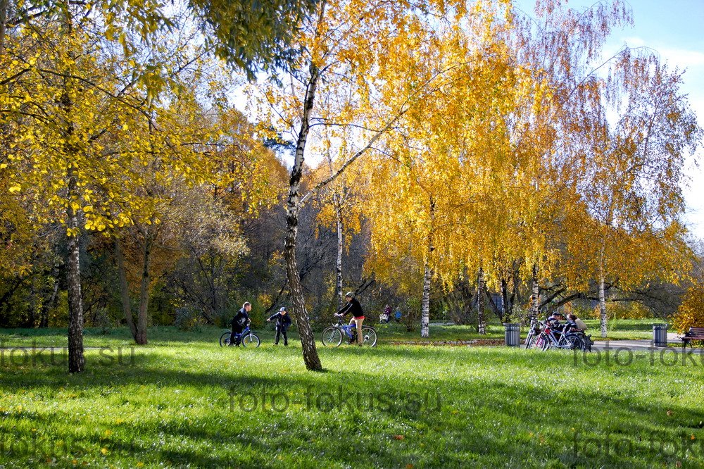 Измайловский проспект