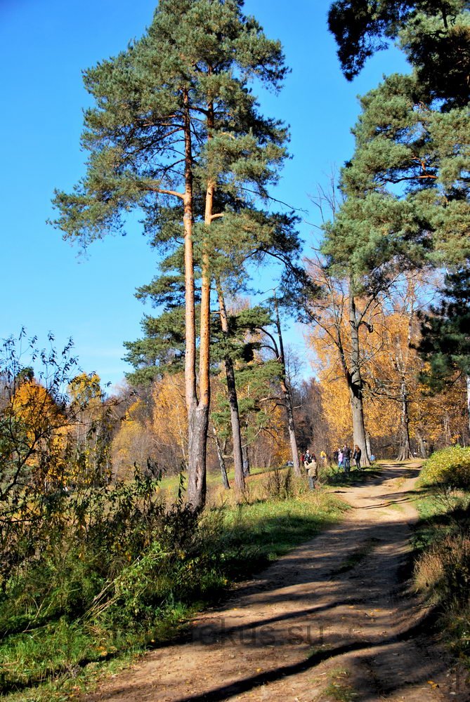 Олений (Ольняный) пруд