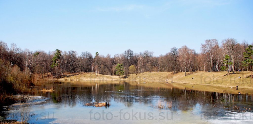 Измайловский парк. Олений пруд.