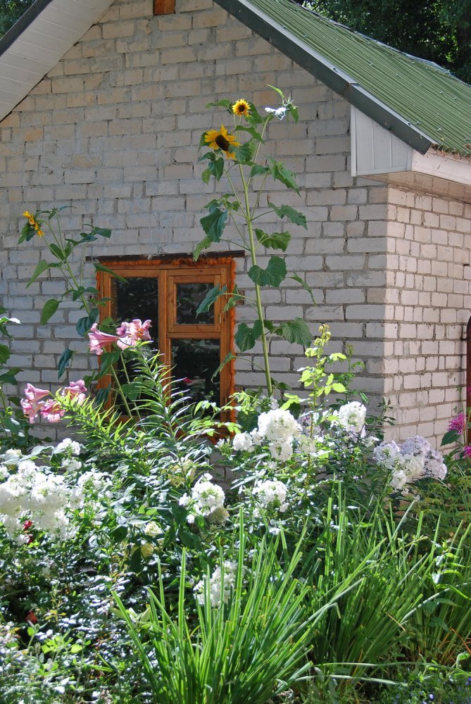 Богородицкий Житенный женский монастырь